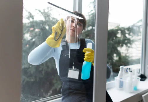 Nettoyage de vitres intérieures et extérieures à Luant